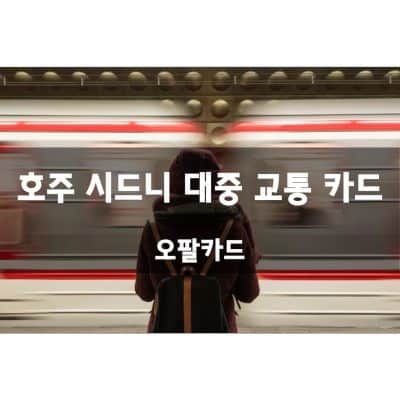 시드니 대중 교통 오팔 카드