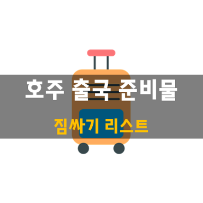 호주 출국 준비물