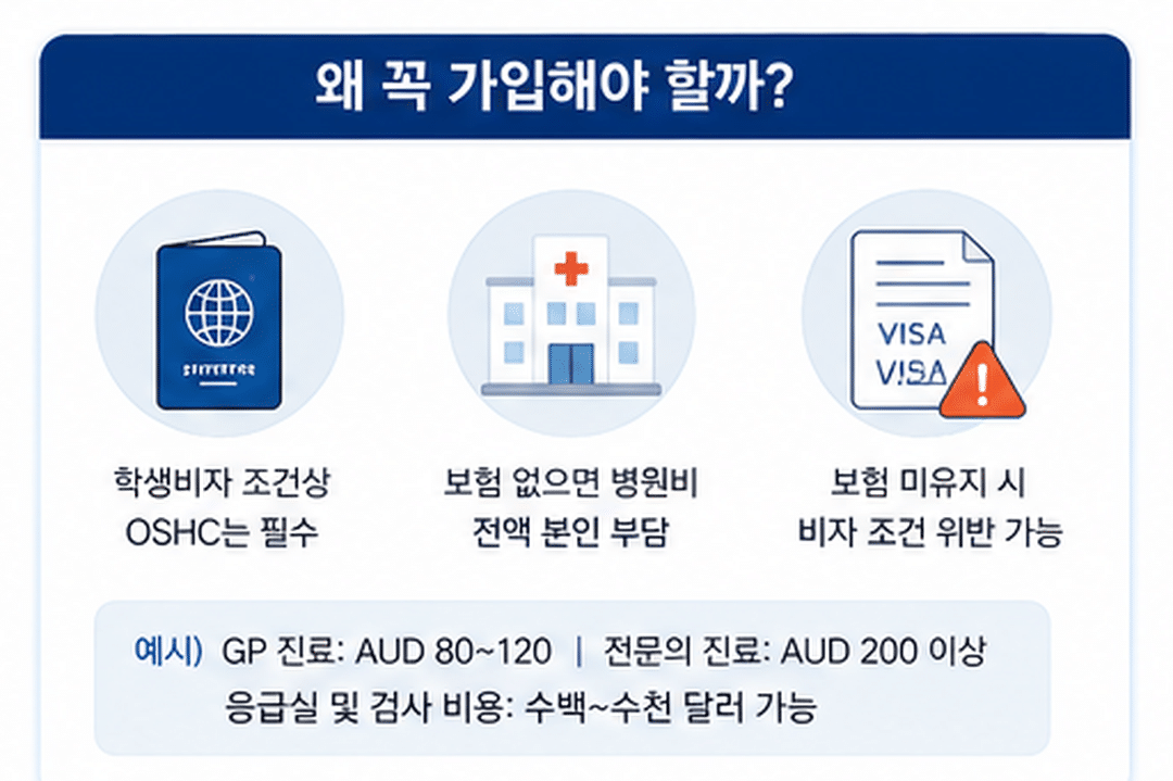 호주 학생보험 OSHC 비교 총정리 (2026년 기준)